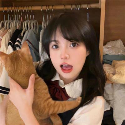 猫儿协奏曲