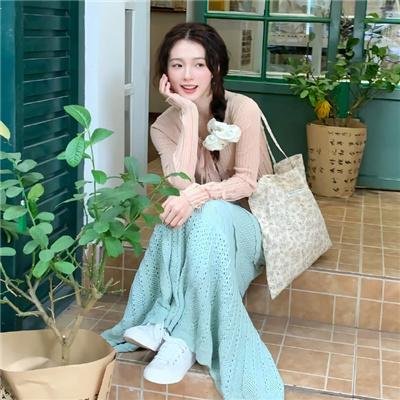 马达加斯加的企鹅